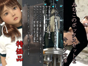 みちこのボックスセット 特価版2(キンク文庫) [d_313978]