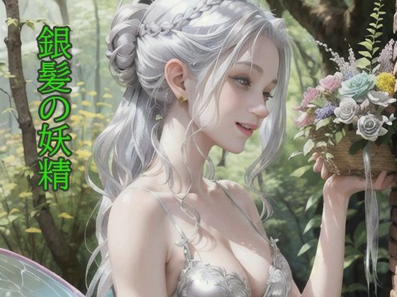 銀髪の妖精(幻影空域) [d_319482]