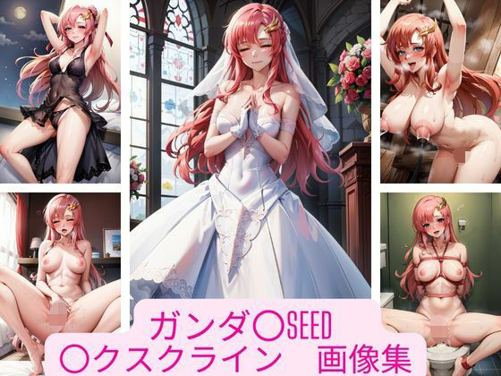 ガンダ〇SEED 〇クスクライン 画像集(さーくるP) [d_321688]