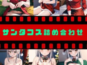 サンタコス詰め合わせ！！(パンティー旅情) [d_322043]