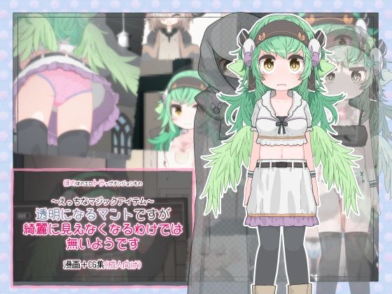 透明になるマントですが綺麗に見えなくなるわけでは無いようです(らーすとちゅか) [d_322292]