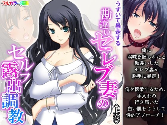 うずいて暴走する勘違いセレブ妻のセルフ露出調教 上巻(悶々堂) [d_322999]