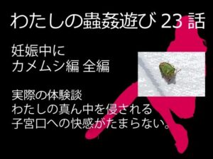 私の蟲姦遊び 23話 妊娠中に1匹のカメムシ編 全編(シングルママの日常) [d_325049]