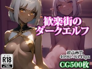 【超高画質】歓楽街のダークエルフ(ココナッツパンチ) [d_323716]