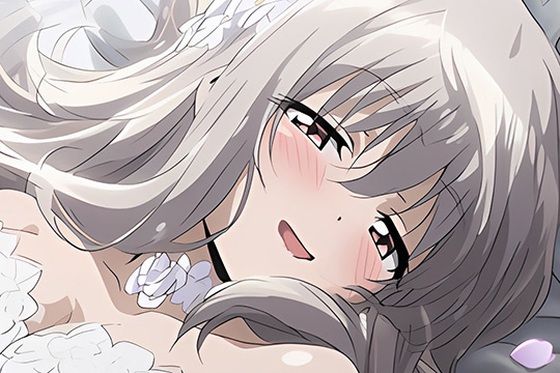 ドレス美少女セット14 挿れられて(Dresscco) [d_328313]