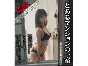 とあるマンションの一室 〜カーテンを閉めない部屋〜(AI Laboサークル) [d_328910]