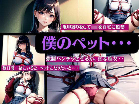 僕のペットはJKだった・・・亀甲縛りをしてJKを自宅に監禁〜強●パンチラさせるが喜ぶ痴女〜(激安変態仮面) [d_331044]