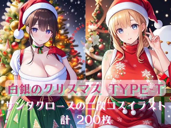 Noël en argent 白銀のクリスマス TYPE-T200二次イラスト(彩羽ぽぷりす) [d_332889]