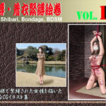 緊縛・着衣緊縛絵巻VOL.14(クリセゴン) [d_333277]