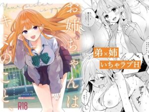 お姉ちゃんはキミのこと、(閃光) [d_336982]