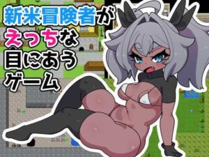 新米冒険者がえっちな目にあうゲーム(えっちなものたち) [d_338251]