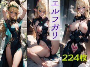 エルフガリ(ぶらいかむ。) [d_326143]