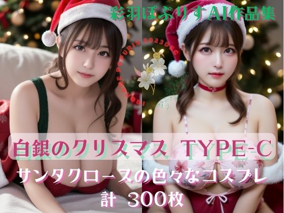 Noël en argent 白銀のクリスマス TYPE-C300(彩羽ぽぷりす) [d_334371]