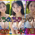 むちむちおっぱい水着集(夜のお供に御座候) [d_336881]