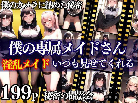 僕の専属淫乱メイドさんいつでも見せてくれる 秘密の撮影会(アニメPRO) [d_338784]