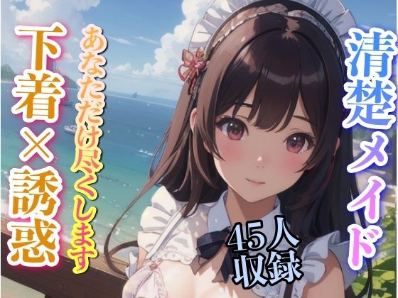 清楚メイド 下着で誘惑 あなただけに尽くします 45人収録(妄想性癖) [d_342009]