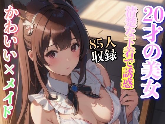 かわいいメイド 清楚な下着で誘惑 85人収録(妄想世界) [d_342247]