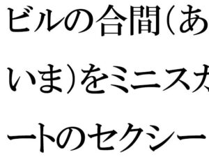 ビルの合間（あいま）をミニスカートのセクシーな義母と一緒に(逢瀬のひび) [d_342417]