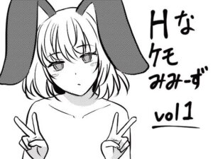 Hなケモみみーずvol1(きつね茶屋) [d_345222]