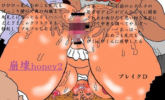 崩壊honey2(ブレイクD) [d_346440]