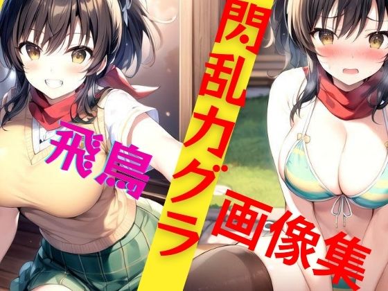 閃乱カグラ 飛鳥 画像集(パンティー旅情) [d_344389]