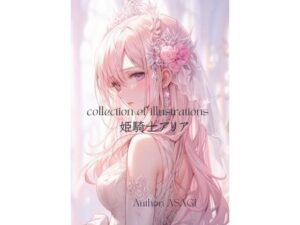 collection of illustration 姫騎士アリア(sugerpowderflowerDL専用♂) [d_344680]