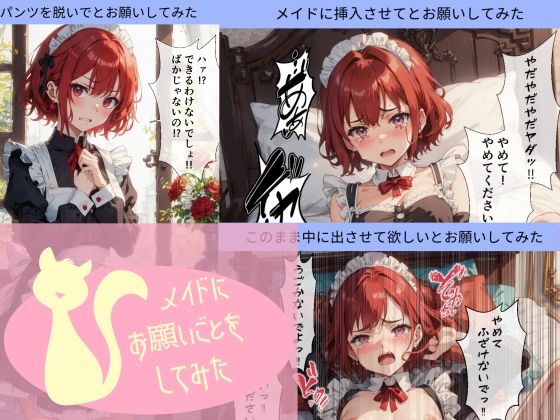 メイドにお願いごとをしてみた(ごひゃの本棚) [d_345508]