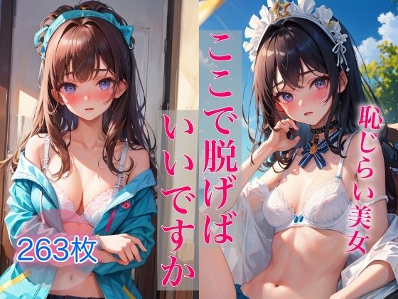 ここで脱げばいいですか 〜そそる恥じらい美女の下着姿〜(ペロメロン) [d_346217]