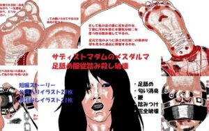サディストマダムのメスダルマ足舐め服従踏み殺し破壊(とらんぷる) [d_354343]