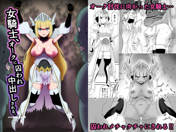 女騎士、オークに囚われ中出しされる。(十砲屋) [d_356969]
