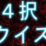 クイズ作成ツール(ねこのひな) [d_357659]