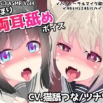 いちゃらぶASMR Vol4 ぐっぽり両耳舐めボイス(めうちゃんねる) [d_360048]