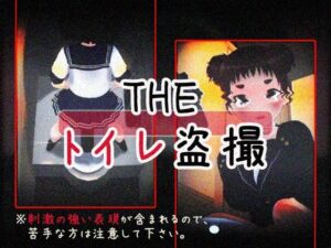 THE・トイレ盗撮(仮想現実少女) [d_363116]