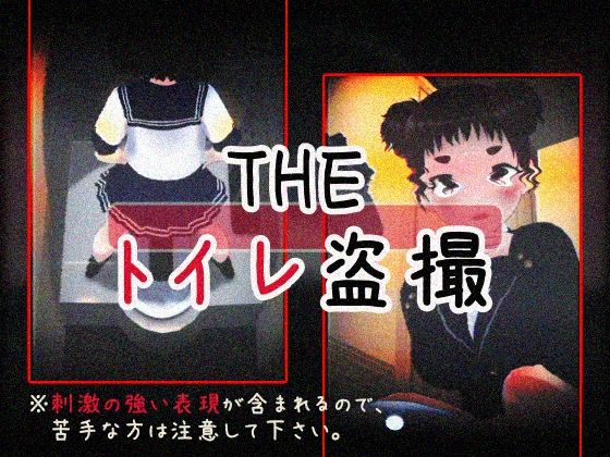 THE・トイレ盗撮(仮想現実少女) [d_363116]