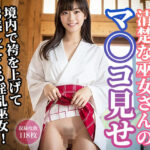 清楚な巫女さんのマ◯コ見せ(はむすたー美女団) [d_320245]