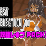 BEST SELECTION 10【奴●レ●プPACK】(ねこまん) [d_334490]