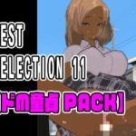 BEST SELECTION 11【ドM童貞PACK】(ねこまん) [d_334507]