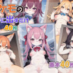 ケモの中に出すだけ40枚(山田屋) [d_354193]