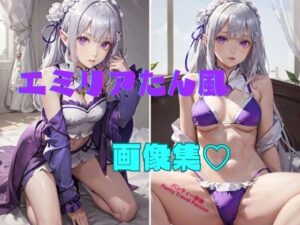 エミリアたん風 画像集？(パンティー旅情) [d_354252]