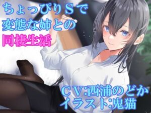 ちょっぴりSで変態な姉との同棲生活(ふっとベル) [d_357996]