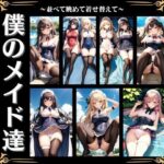 僕のメイド特集！どんな命令も断らない美少女軍団・・調教物語(びじょずかん) [d_358565]