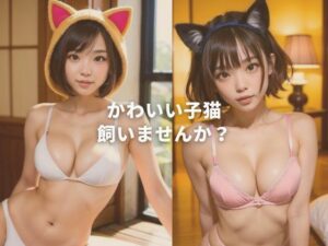 かわいい子猫 飼いませんか？(柴崎莉子) [d_358786]
