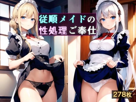従順メイドの性処理ご奉仕(かしんこじ) [d_361097]