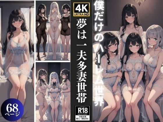 僕だけのハーレム世界 夢は一夫多妻世帯(妄想性癖) [d_363596]