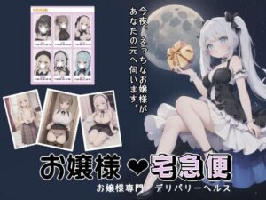 お嬢様宅急便(のんある日和) [d_366940]