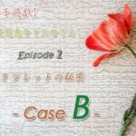 【母子遊戯】変態息子とお母さん「Episode 1」 タブレットの秘密 – Case B -(Digital Plot) [d_376848]