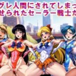 【フルカラー】ハイグレ人間にされてしまった後、孕ませられたセーラー戦士たち(コスパ美女ファクトリー) [d_322784]