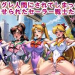 【フルカラー】ハイグレ人間にされてしまった後、孕ませられたセーラー戦士たちvol.4(コスパ美女ファクトリー) [d_322787]