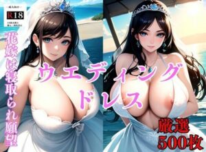 【大容量作品】新婚1年目の花嫁は実は寝取られ願望あり。ウエディングフォント中のカメラマンに夢中No.1〜アニメ(アニメ美女) [d_373551]