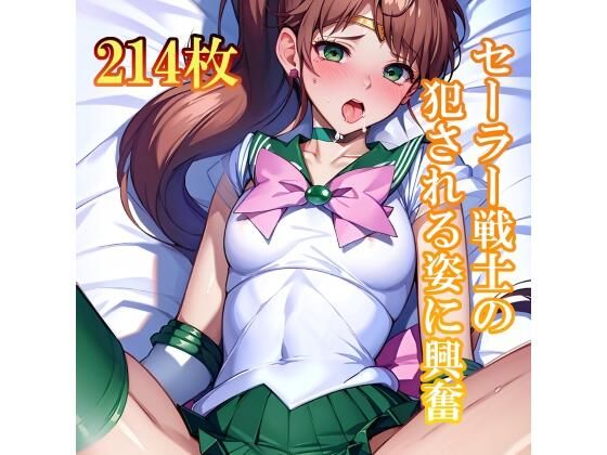 セーラー戦士のHな姿に興奮して、思わず手が息子へ(Animan) [d_374419]